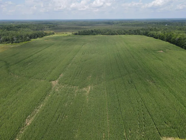 $299,900 | 67-tbd County Road M, Ogema, WI 54459