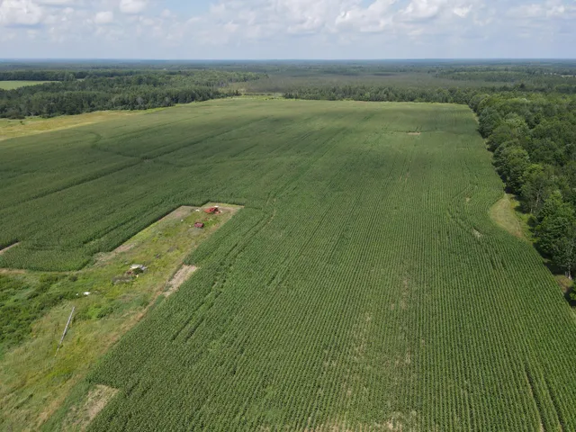 $299,900 | 67-tbd County Road M, Ogema, WI 54459