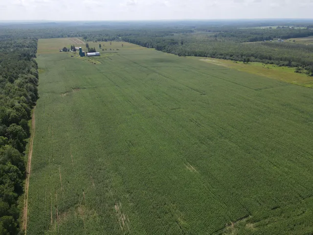 $299,900 | 67-tbd County Road M, Ogema, WI 54459