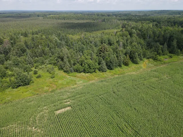 $299,900 | 67-tbd County Road M, Ogema, WI 54459