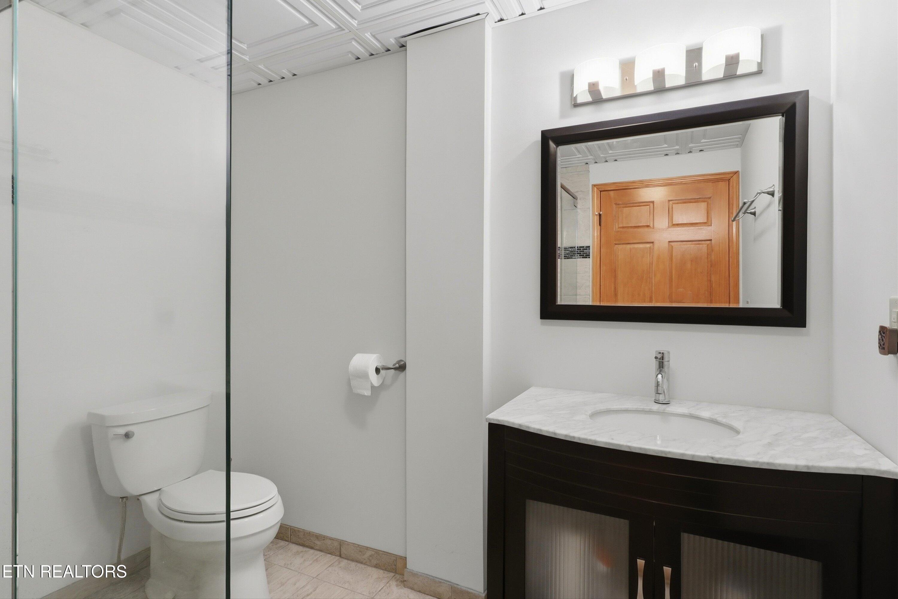 2012 Old Chilhowee Road Seymour, TN 37865 - Photo 33 of 54 Basement Hallway Bath