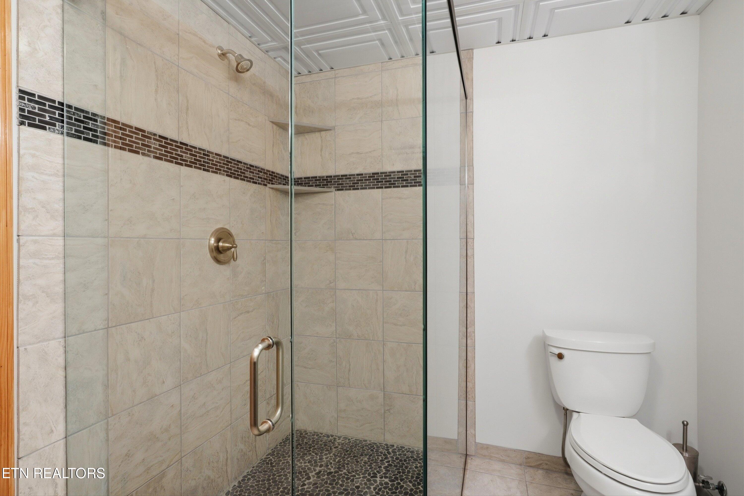 2012 Old Chilhowee Road Seymour, TN 37865 - Photo 34 of 54 Basement Hallway Bath Walk-In Shower