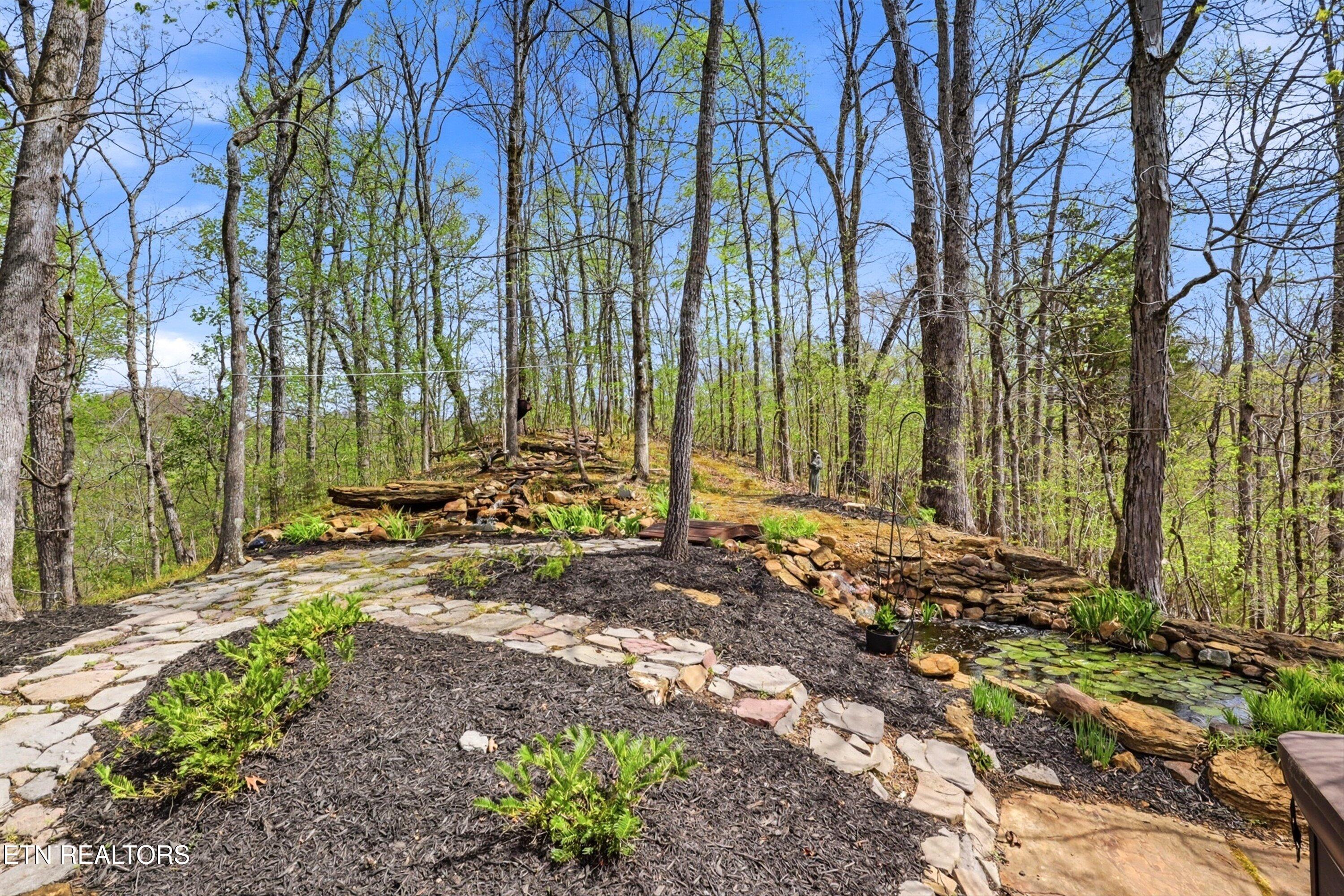 2012 Old Chilhowee Road Seymour, TN 37865 - Photo 47 of 54 View of the Fairy Garden & Koi Pond