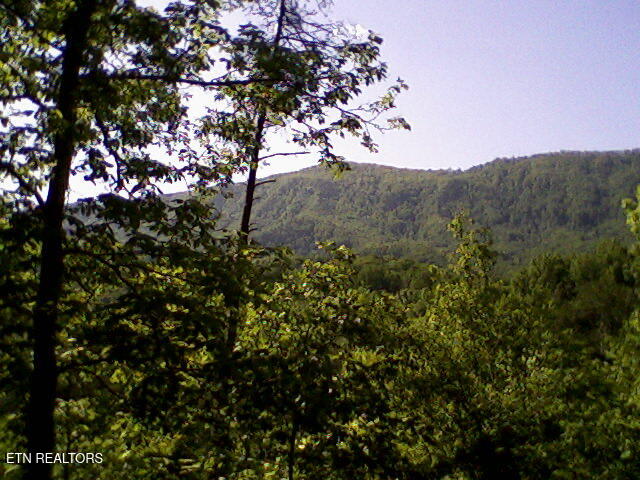 2012 Old Chilhowee Road Seymour, TN 37865 - Photo 51 of 54 View from Primary Sitting Area