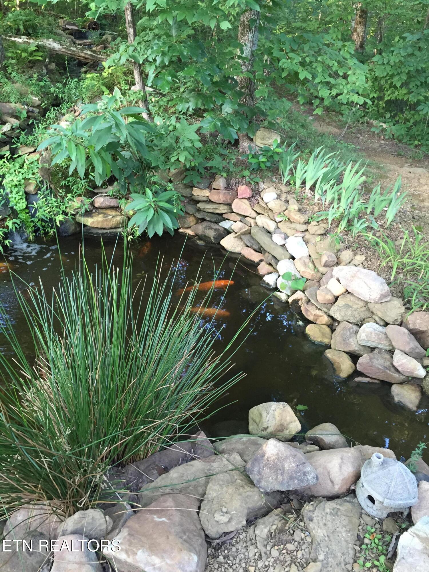 2012 Old Chilhowee Road Seymour, TN 37865 - Photo 53 of 54 Koi Pond