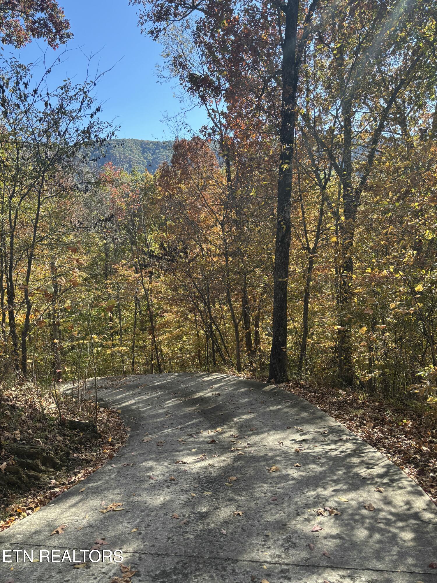 2012 Old Chilhowee Road Seymour, TN 37865 - Photo 54 of 54 Top of Driveway View