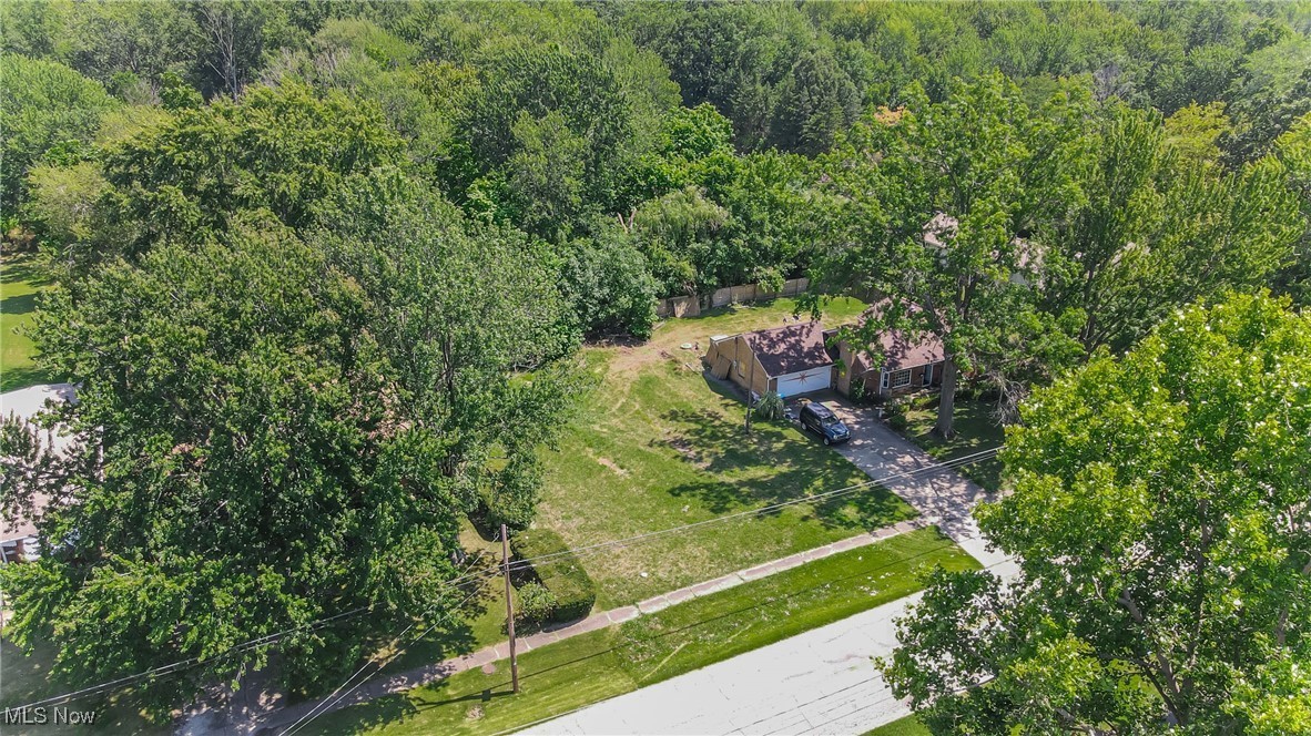 Root Road Lorain, OH 44052 - Photo 3 of 9