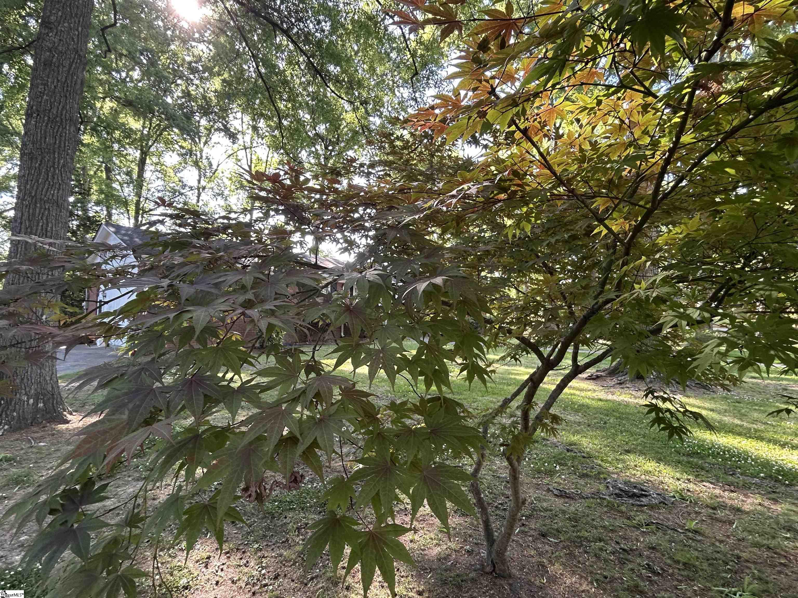 507 Chestnut Street Clinton, SC 29325 - Photo 12 of 14