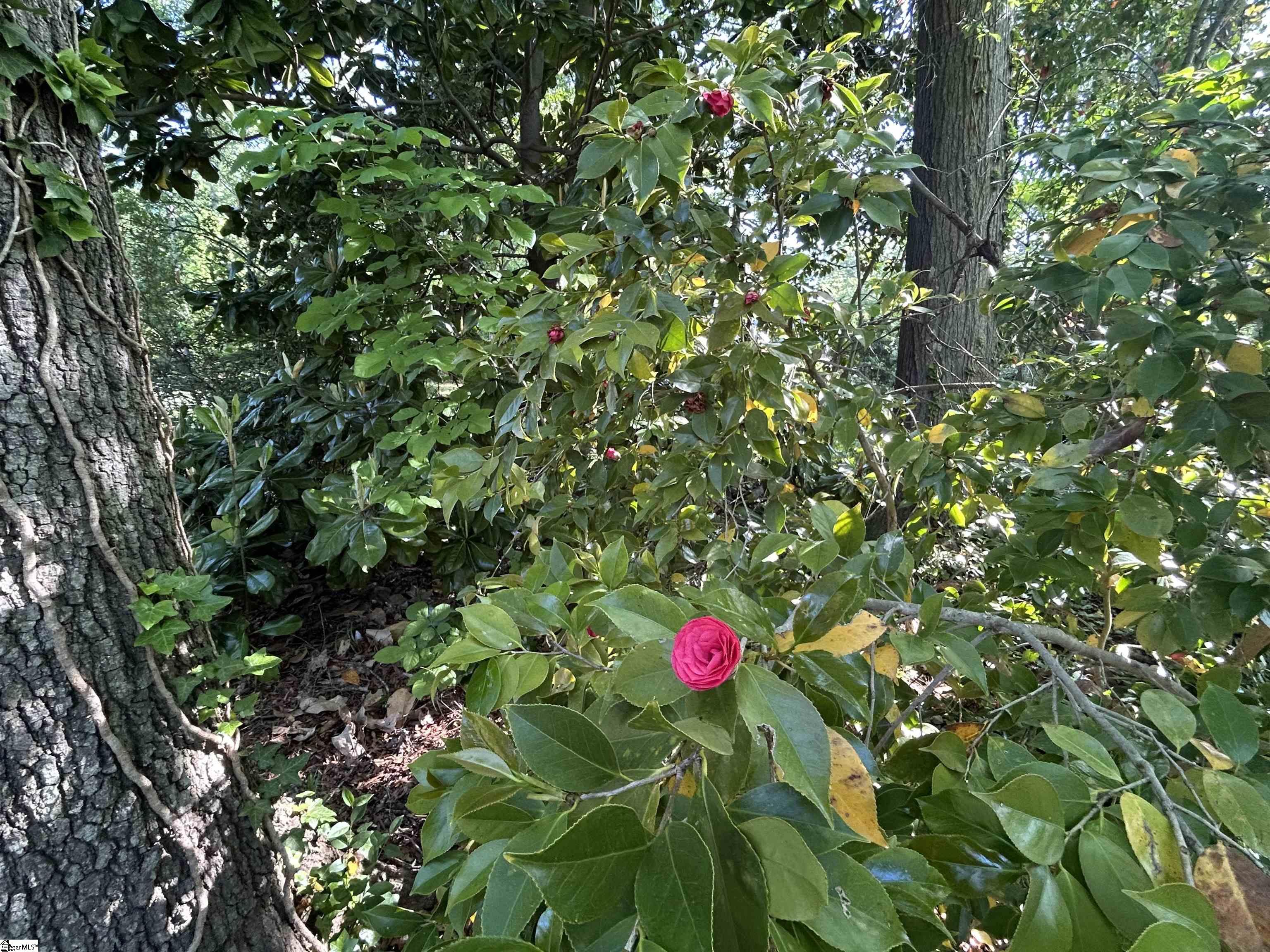 507 Chestnut Street Clinton, SC 29325 - Photo 7 of 14