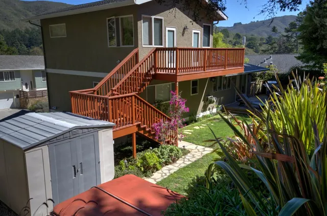 a view of a park with a plant