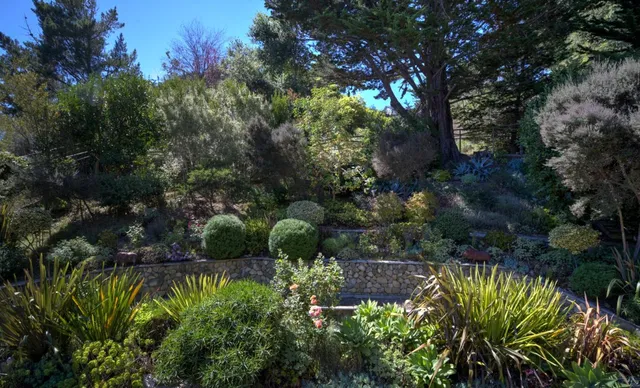 a view of a green field with mountains in the background