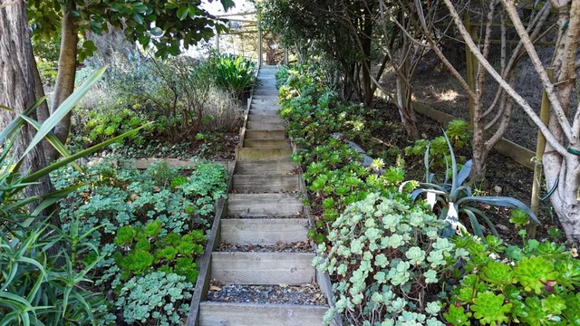 a view of a lake with a mountain in the background