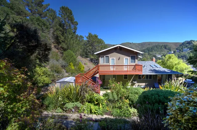 a view of a lush green forest with mountains in the background