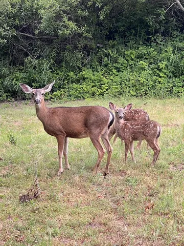 $1,798,888 | 1042 Yosemite Drive, Pacifica, CA 94044