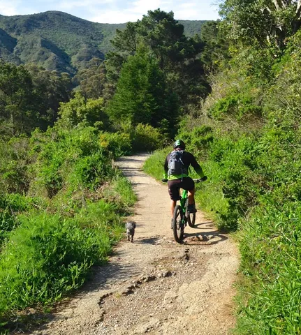 $1,798,888 | 1042 Yosemite Drive, Pacifica, CA 94044