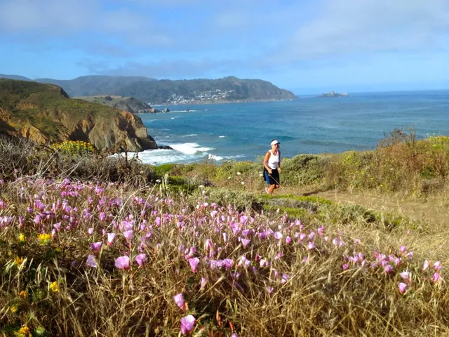 $1,798,888 | 1042 Yosemite Drive, Pacifica, CA 94044