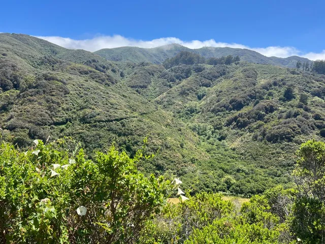 $1,798,888 | 1042 Yosemite Drive, Pacifica, CA 94044