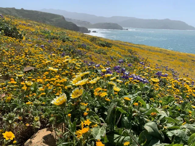 $1,798,888 | 1042 Yosemite Drive, Pacifica, CA 94044