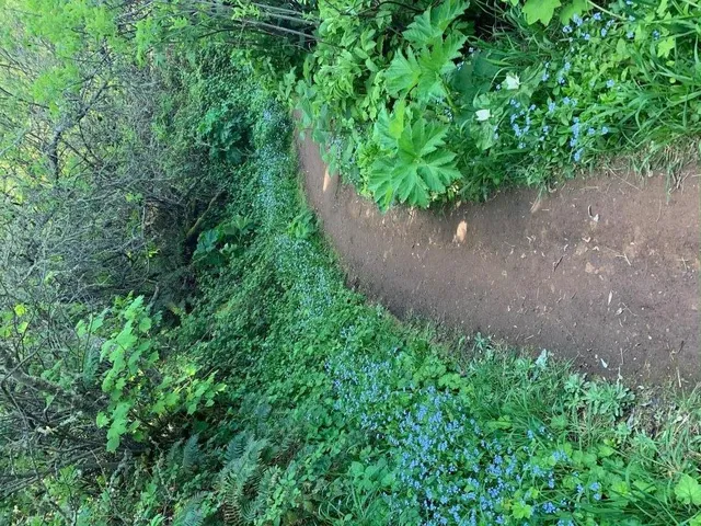 $1,798,888 | 1042 Yosemite Drive, Pacifica, CA 94044