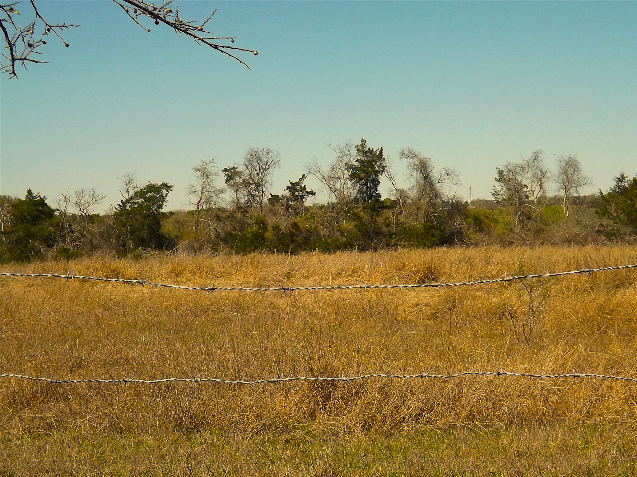 1649 County Road 209 Weimar, TX 78962 - Photo 19 of 27 a view of ocean