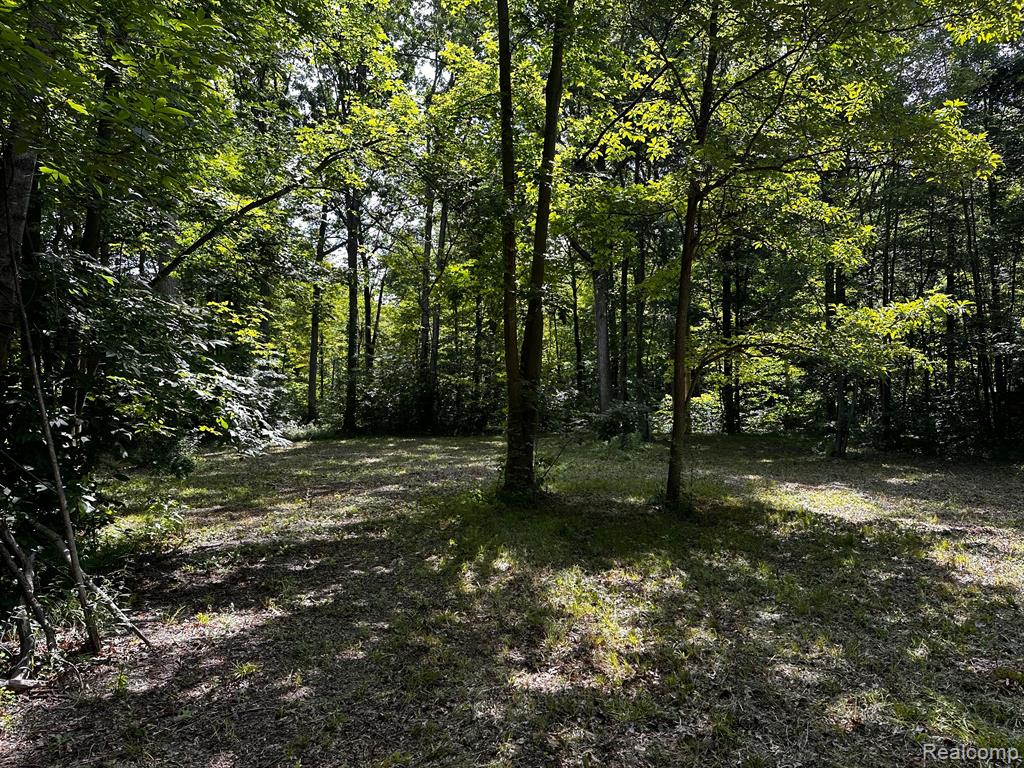 00000 Haggerty Road Belleville, MI 48111 - Photo 6 of 7