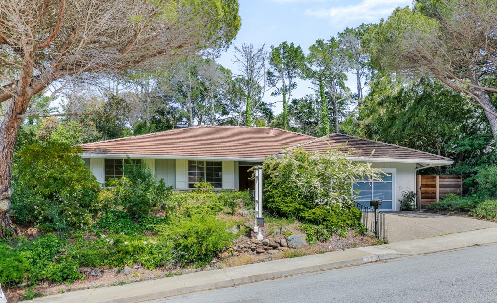 1349 Murchison Drive Millbrae, CA 94030 - Photo 56 of 66 a view of a house with a yard and potted plants