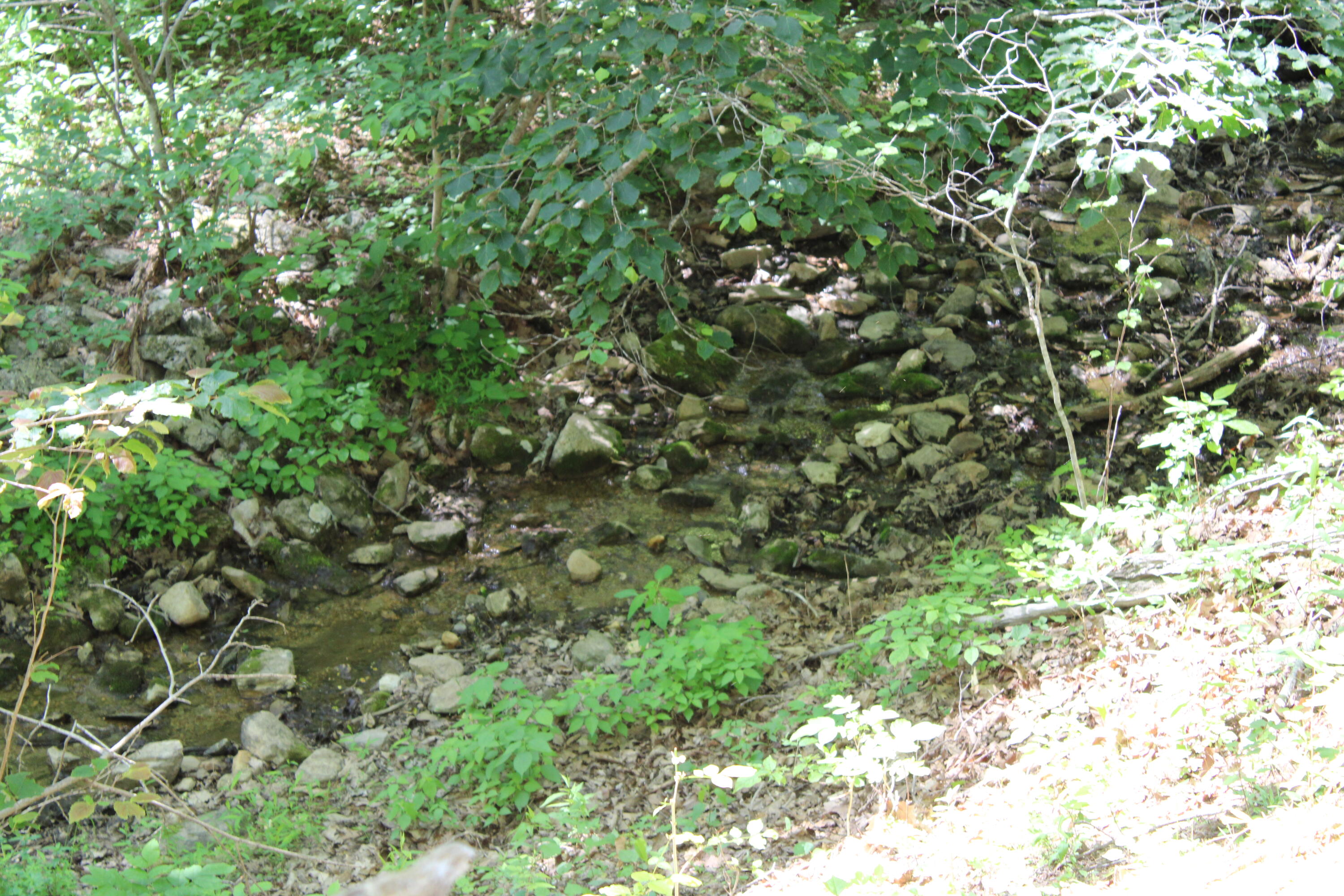 7923 Poor Mountain Road Bent Mountain, VA 24059 - Photo 80 of 95 IMG_0197
