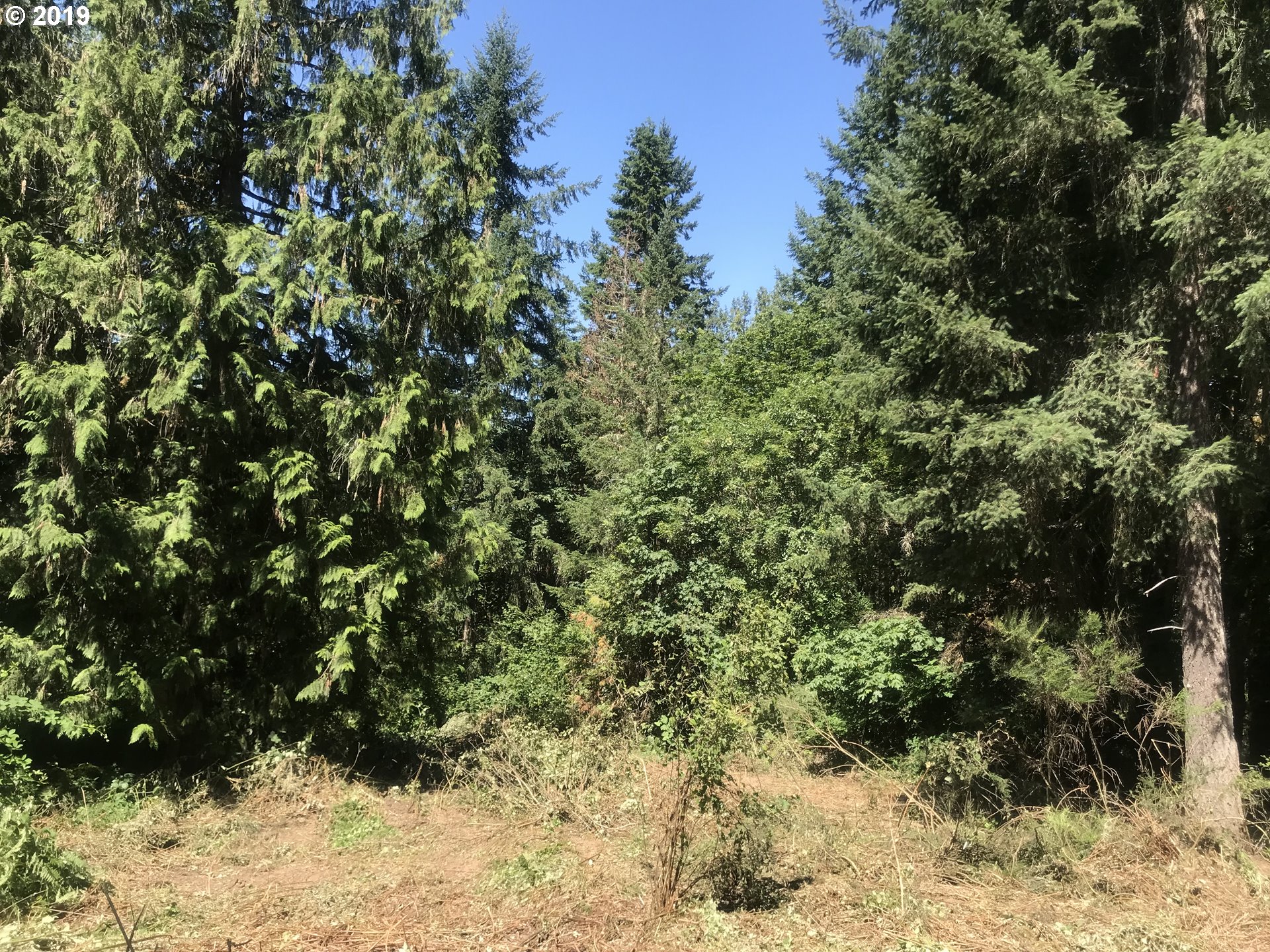 0 South Salo Road Mulino, OR 97042 - Photo 11 of 15 Gallery Image 11