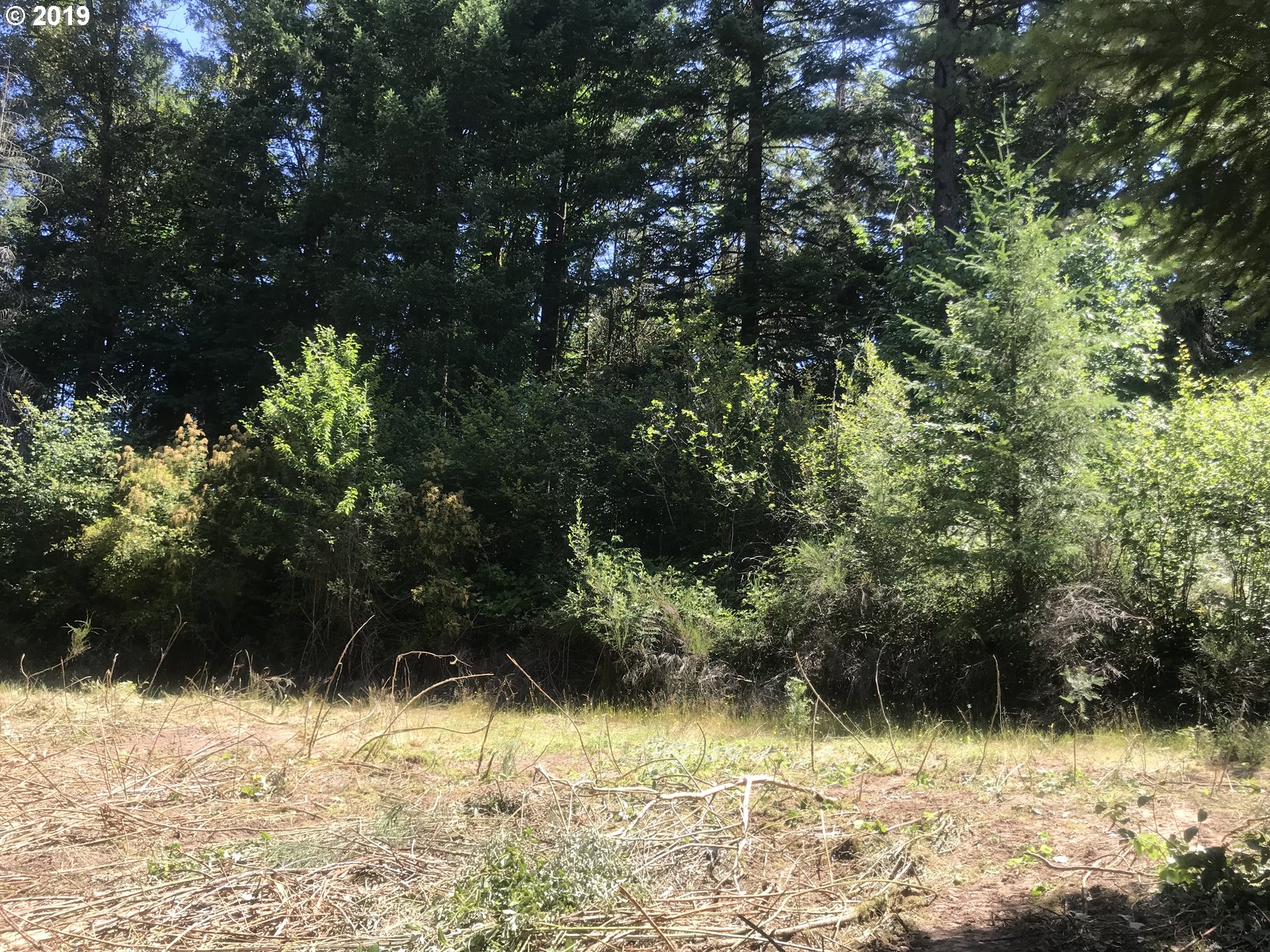 0 South Salo Road Mulino, OR 97042 - Photo 12 of 15 Gallery Image 12