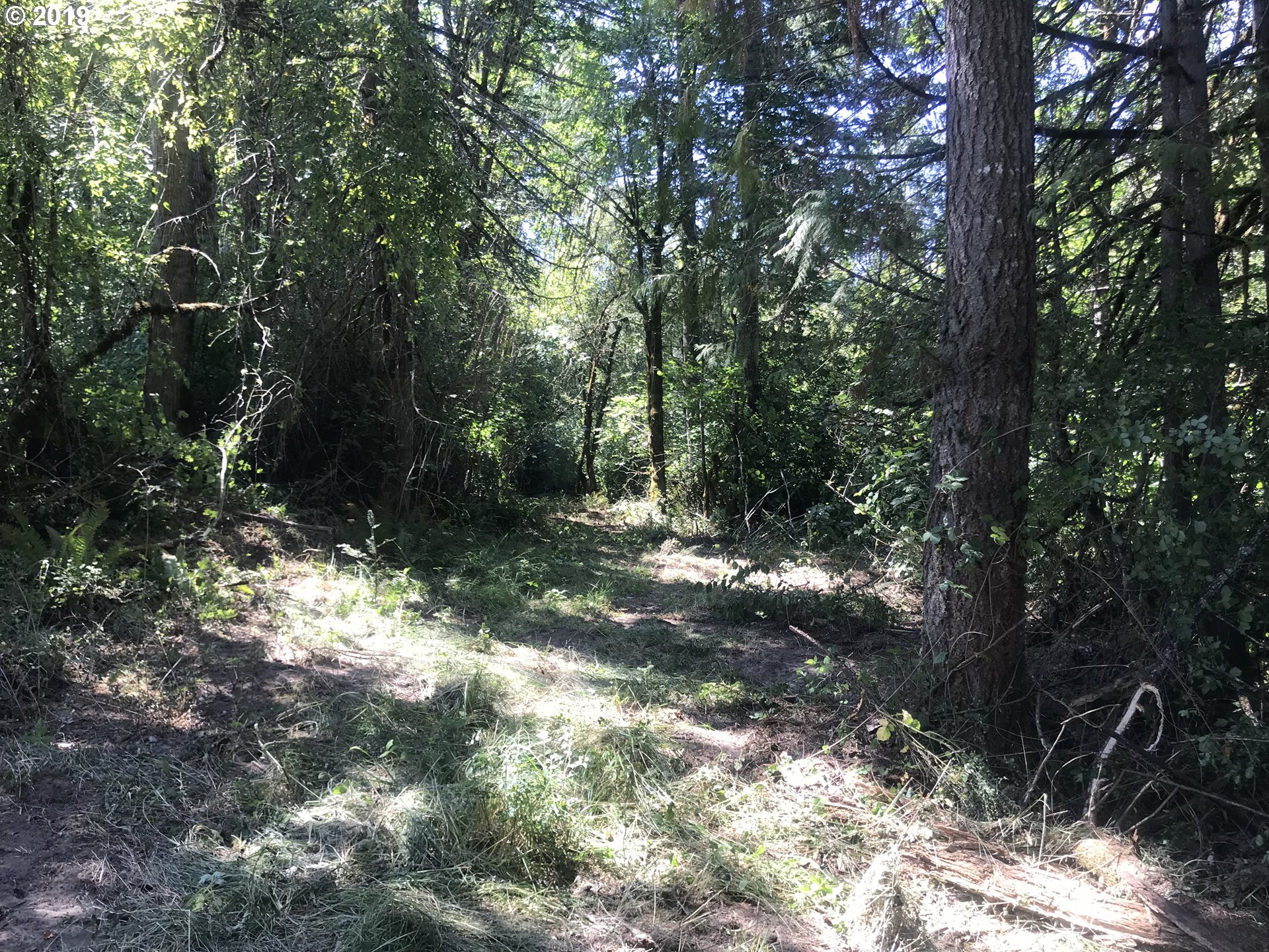 0 South Salo Road Mulino, OR 97042 - Photo 14 of 15 Gallery Image 14