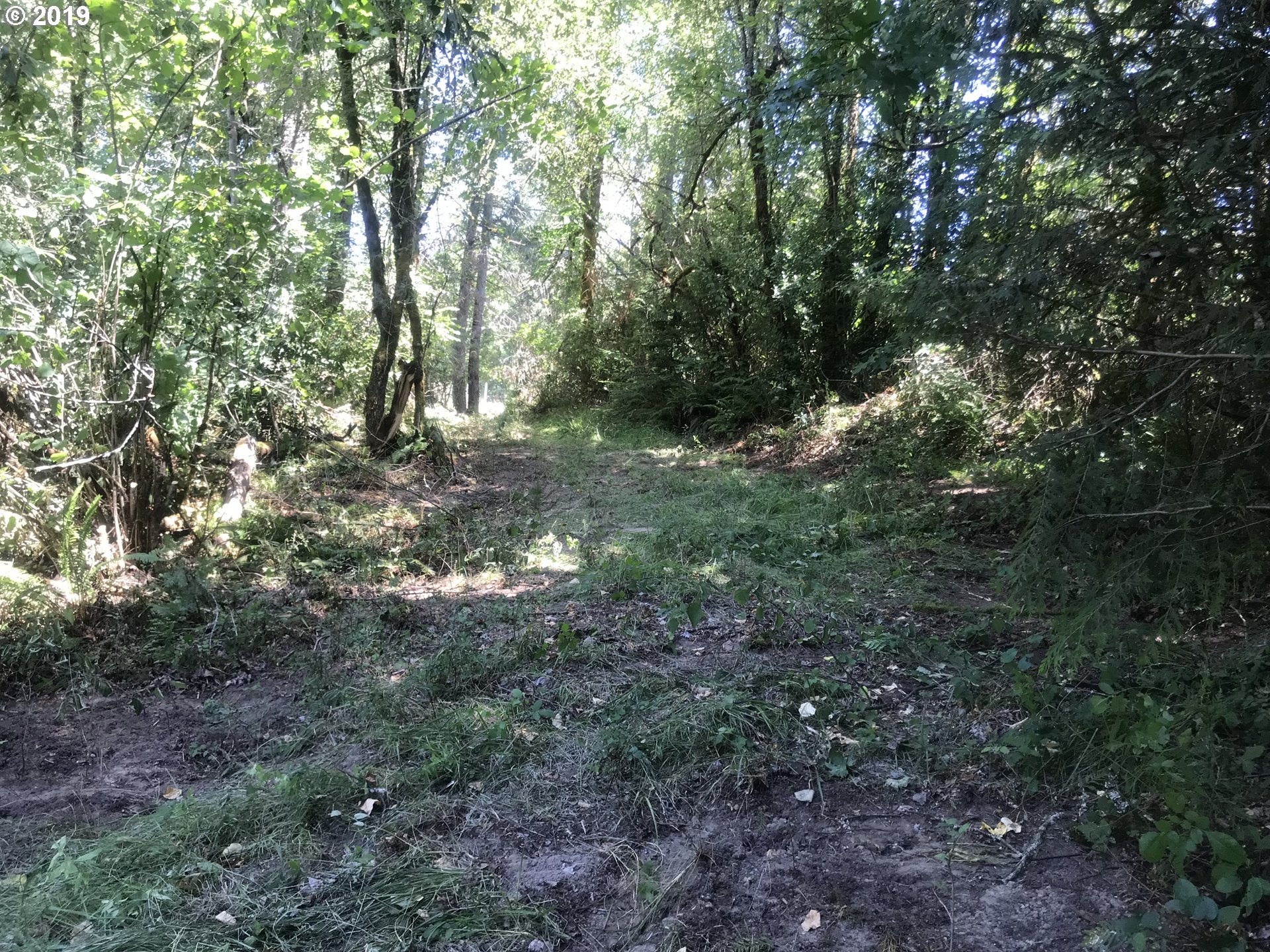 0 South Salo Road Mulino, OR 97042 - Photo 15 of 15 Gallery Image 15