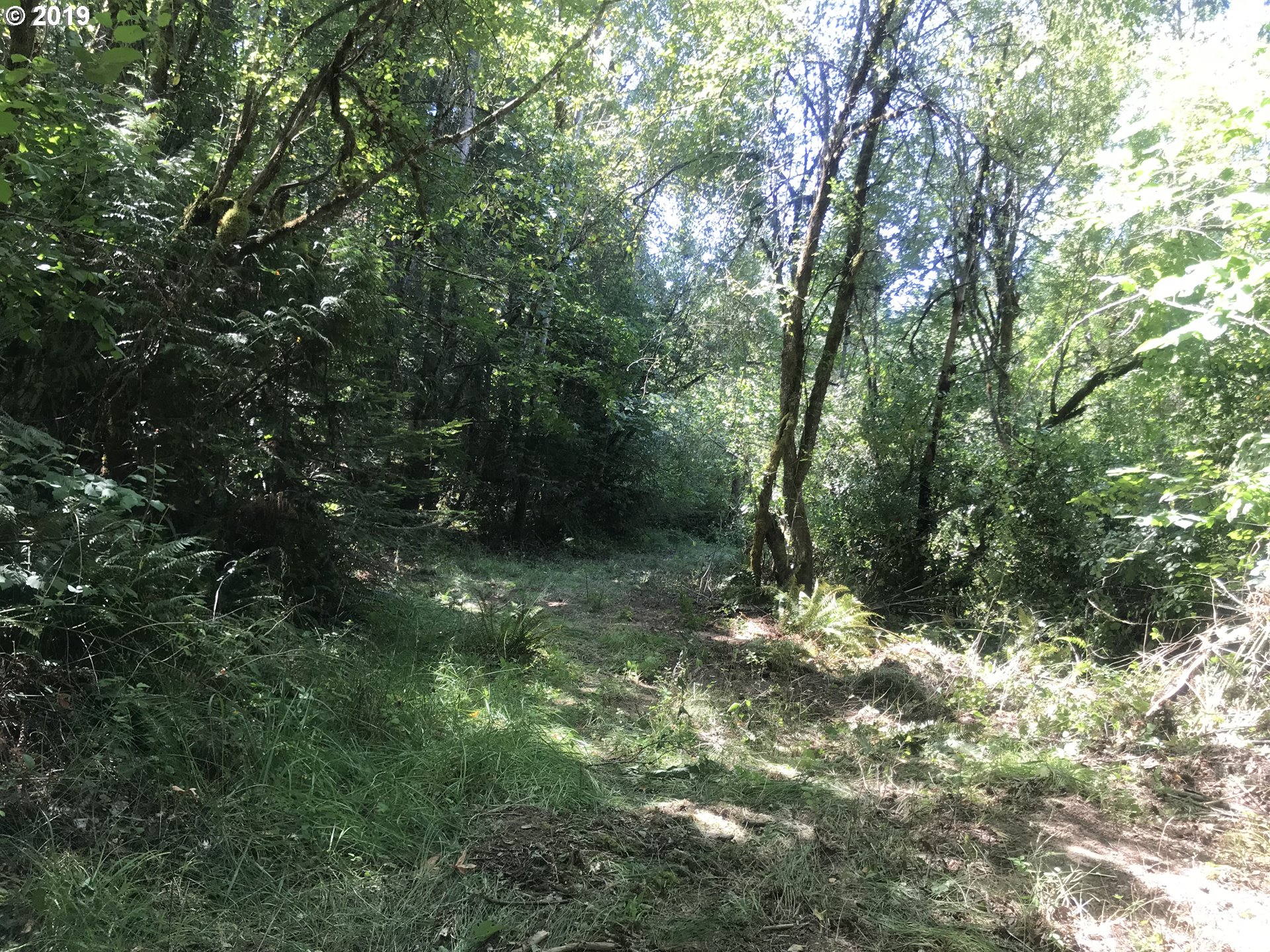 0 South Salo Road Mulino, OR 97042 - Photo 3 of 15 Gallery Image 3
