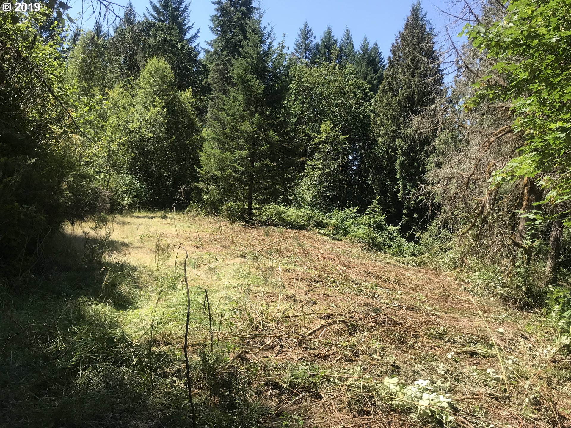 0 South Salo Road Mulino, OR 97042 - Photo 5 of 15 Gallery Image 5