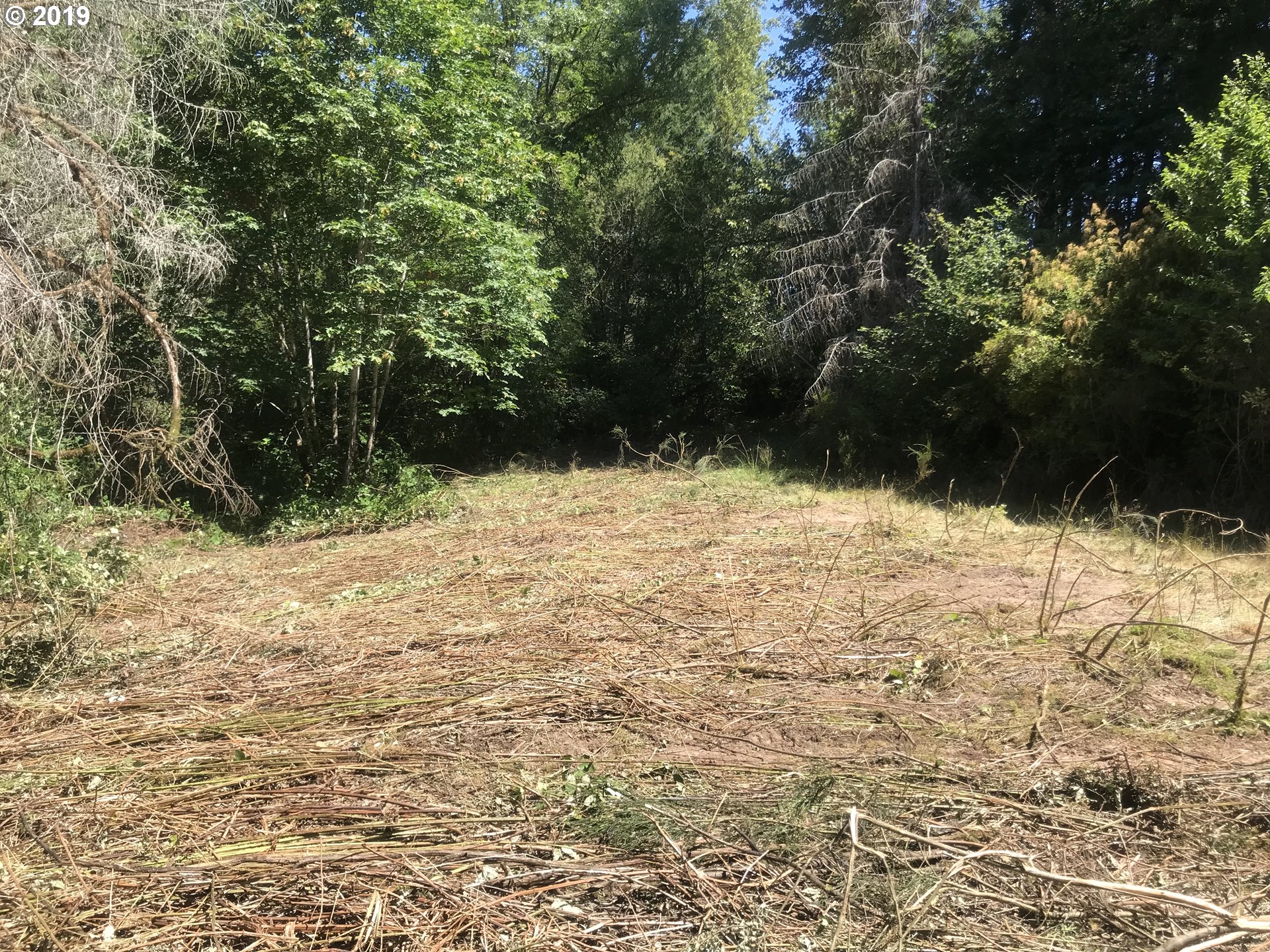 0 South Salo Road Mulino, OR 97042 - Photo 6 of 15 Gallery Image 6