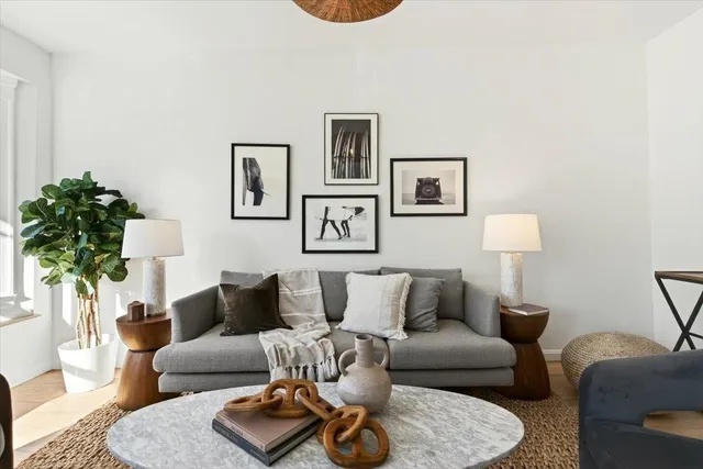 a living room with furniture and a potted plant