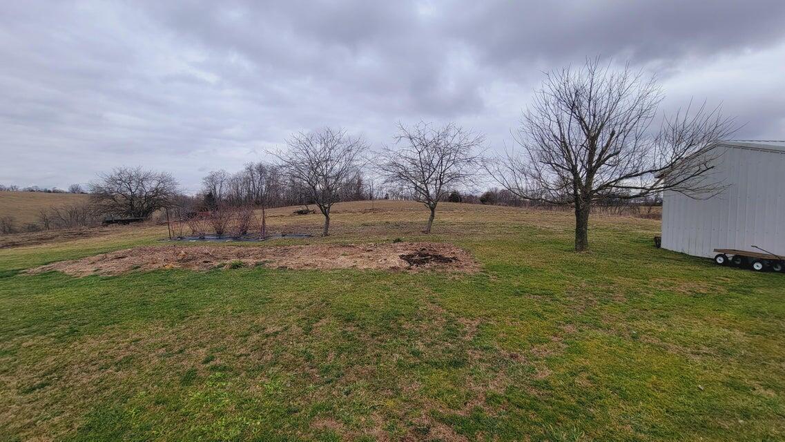 572 Butler Branch Road Flemingsburg, KY 41041 - Photo 7 of 34 Garden Area