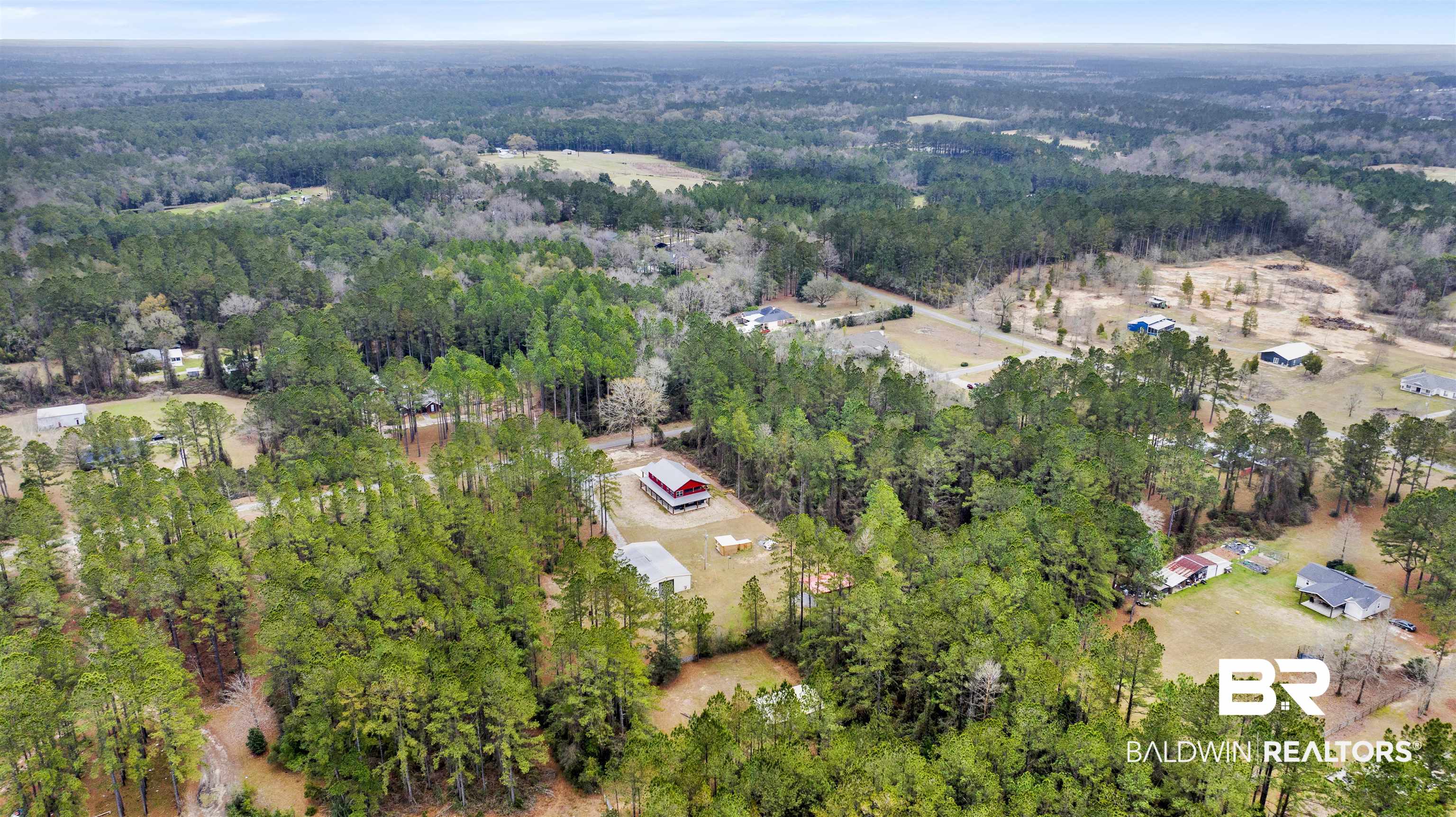 36397 Alexandria Trail Stapleton, AL 36578 - Photo 9 of 65 Bird's eye view of a forest