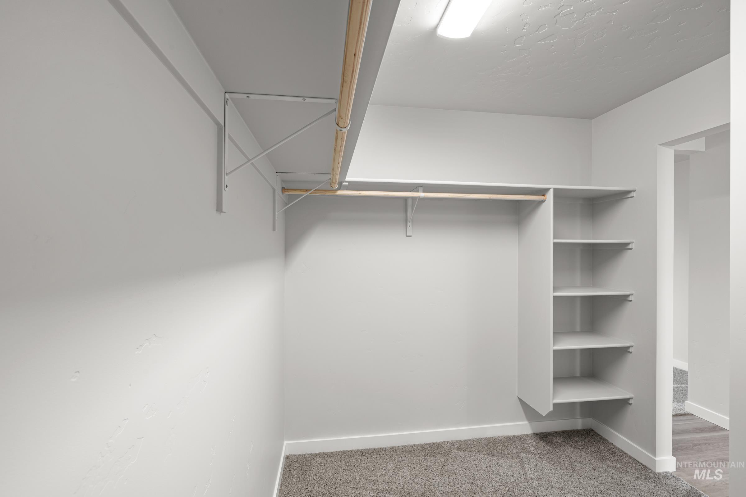 14056 Shiny Spruce Street Caldwell, ID 83607 - Photo 20 of 25 Walk-in closet featuring an overhead light fixture, light gray walls, plush gray carpeting, built-in shelving, and hanging rods