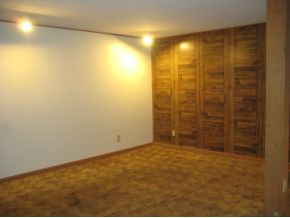 8699 Reedy Creek Road Bristol, VA 24202 - Photo 16 of 18 Lrge bedroom or den downstairs