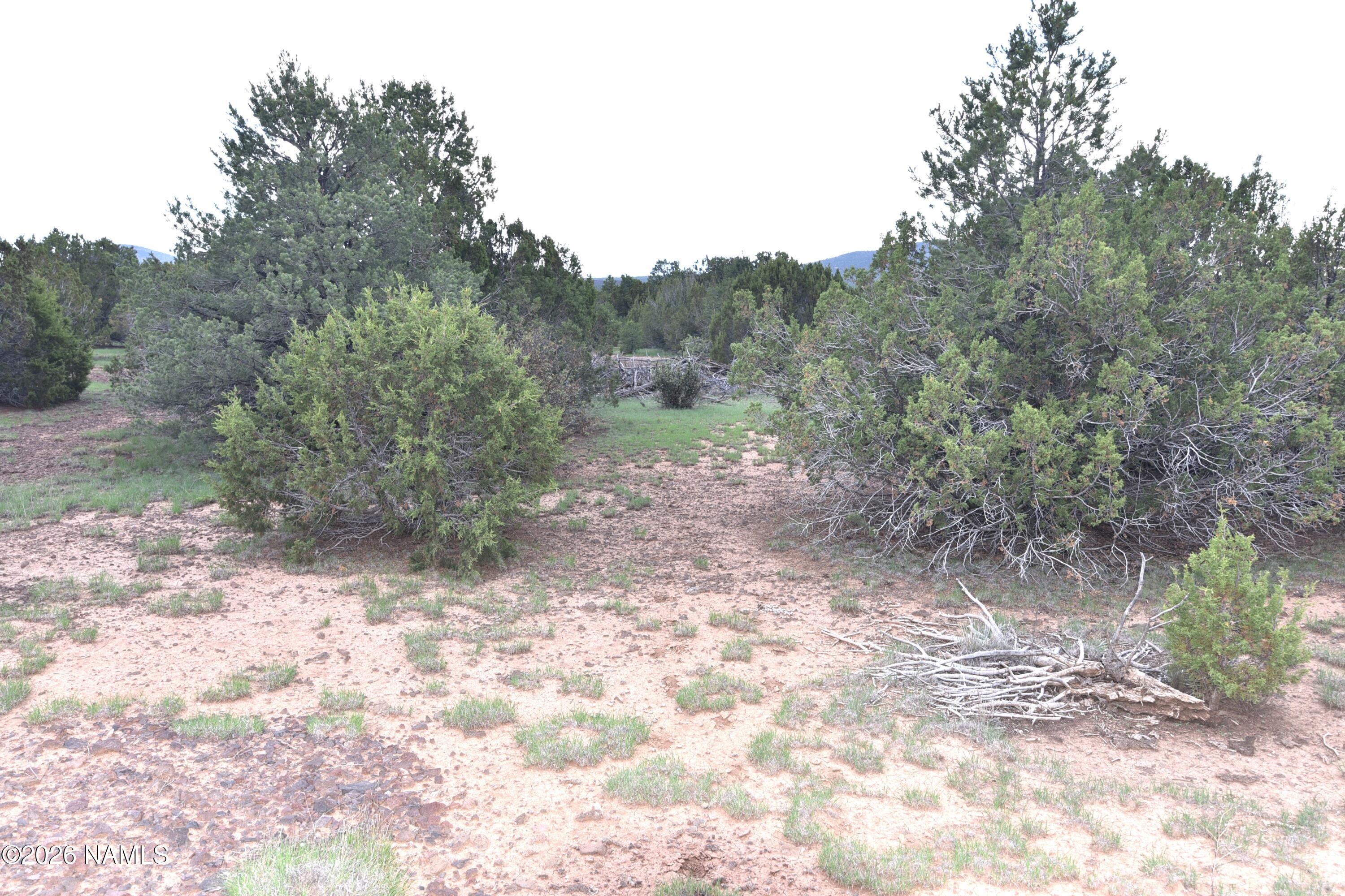 304 East Black Feather Road Williams, AZ 86046 - Photo 8 of 11 DSC_5319