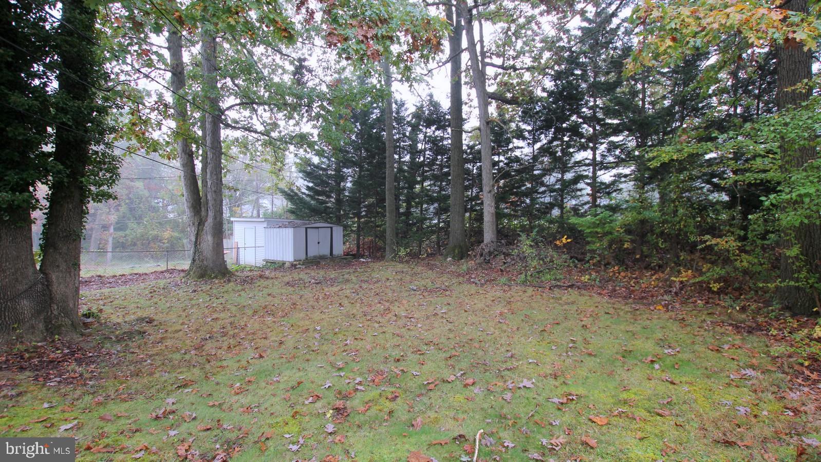 2009 Derrickson Road Baltimore, MD 21244 - Photo 24 of 24 Rear yard
