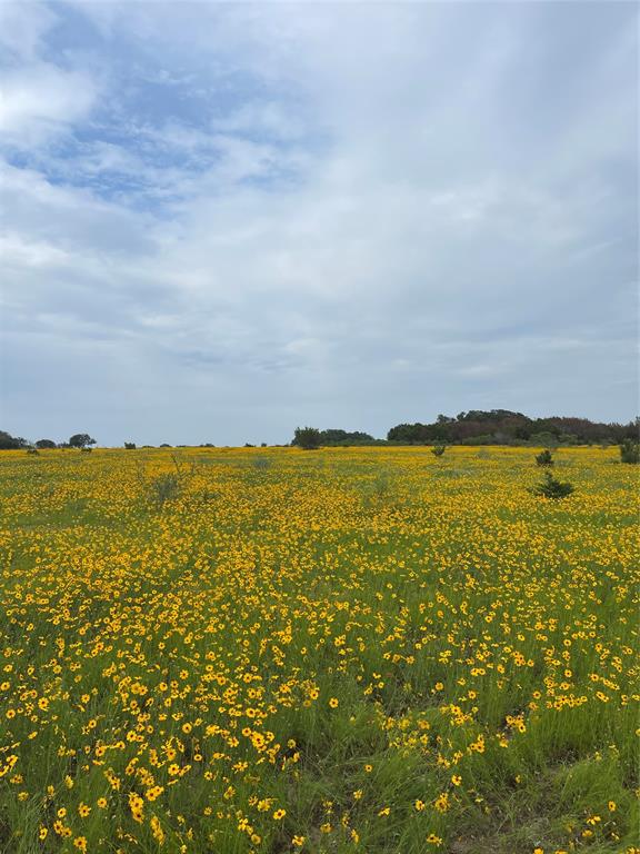 0 Bison Ridge Drive, Unit LOT 155 Stephenville, TX 76401 - Photo 1 of 13