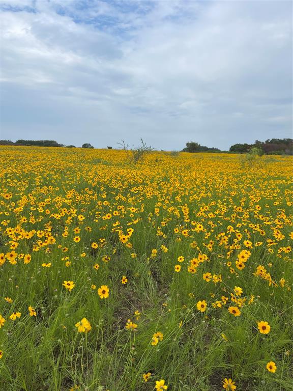 0 Bison Ridge Drive, Unit LOT 155 Stephenville, TX 76401 - Photo 13 of 13 a view of an ocean