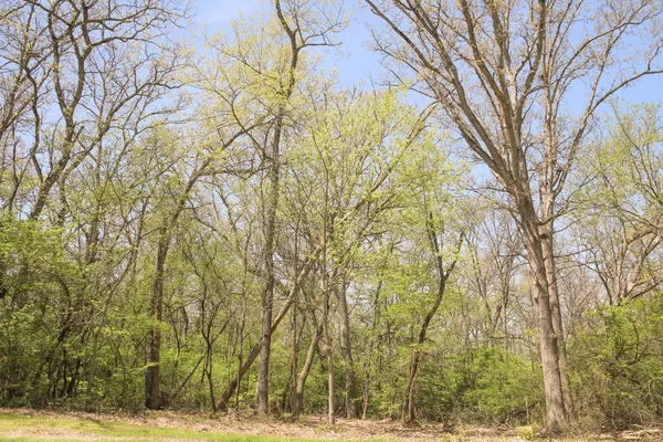 $53,900 | 911 Echo (lot 5) Trail, Marengo, IL 60152