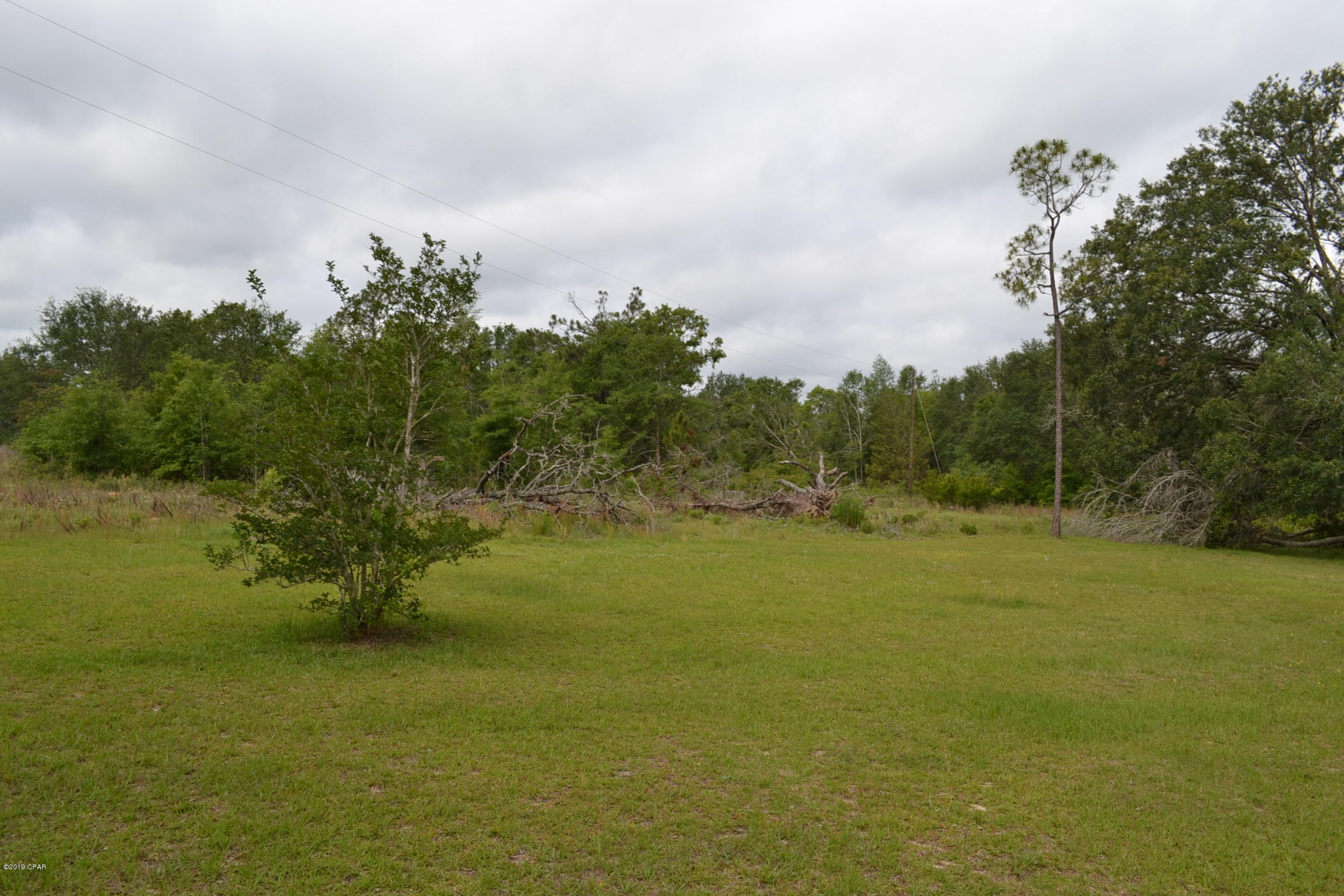 2035 Pike Pond Road Alford, FL 32420 - Photo 31 of 35 Gallery Image 31