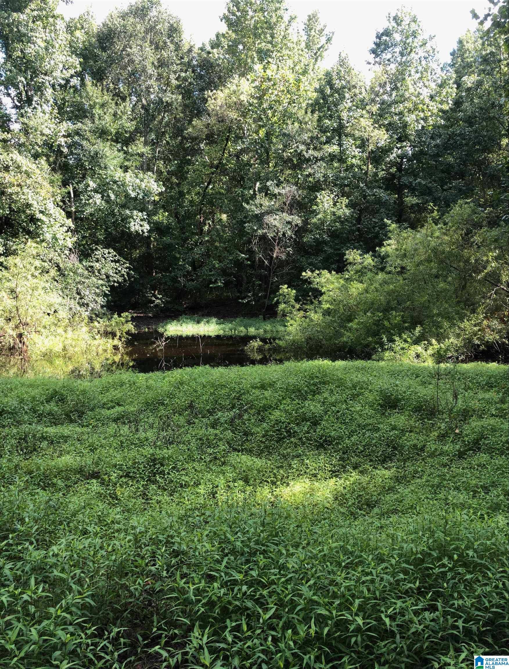 3939 Susan Moore Road Altoona, AL 35952 - Photo 11 of 12