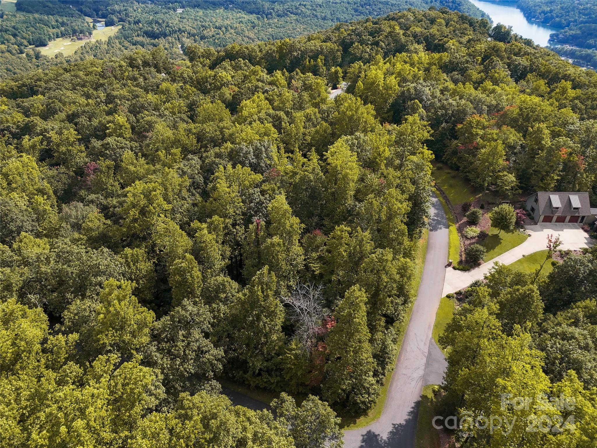 Tbd Matho Trace Lake Lure, NC 28746 - Photo 11 of 30 Gallery Image 11