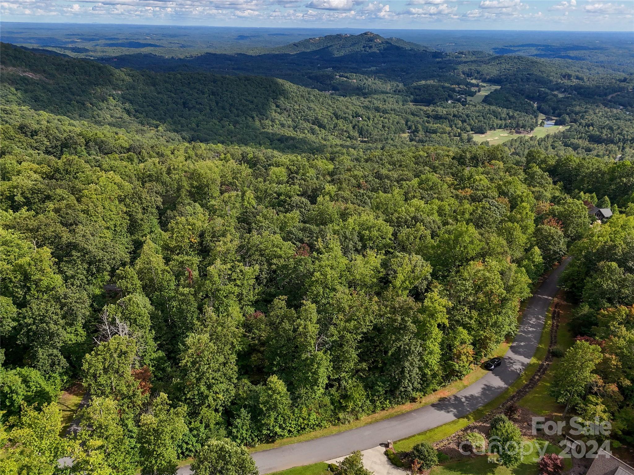 Tbd Matho Trace Lake Lure, NC 28746 - Photo 13 of 30 Gallery Image 13