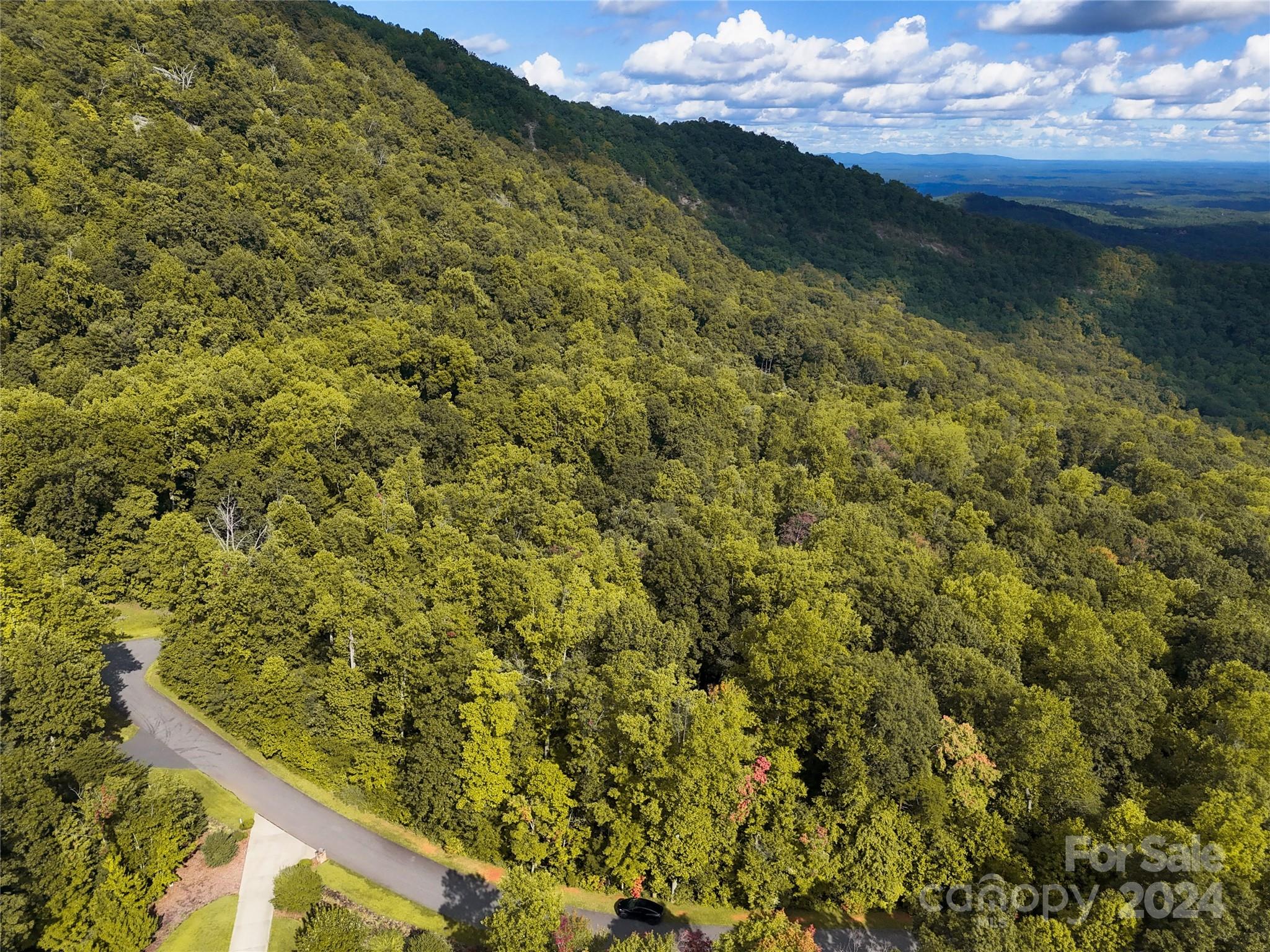 Tbd Matho Trace Lake Lure, NC 28746 - Photo 14 of 30 Gallery Image 14