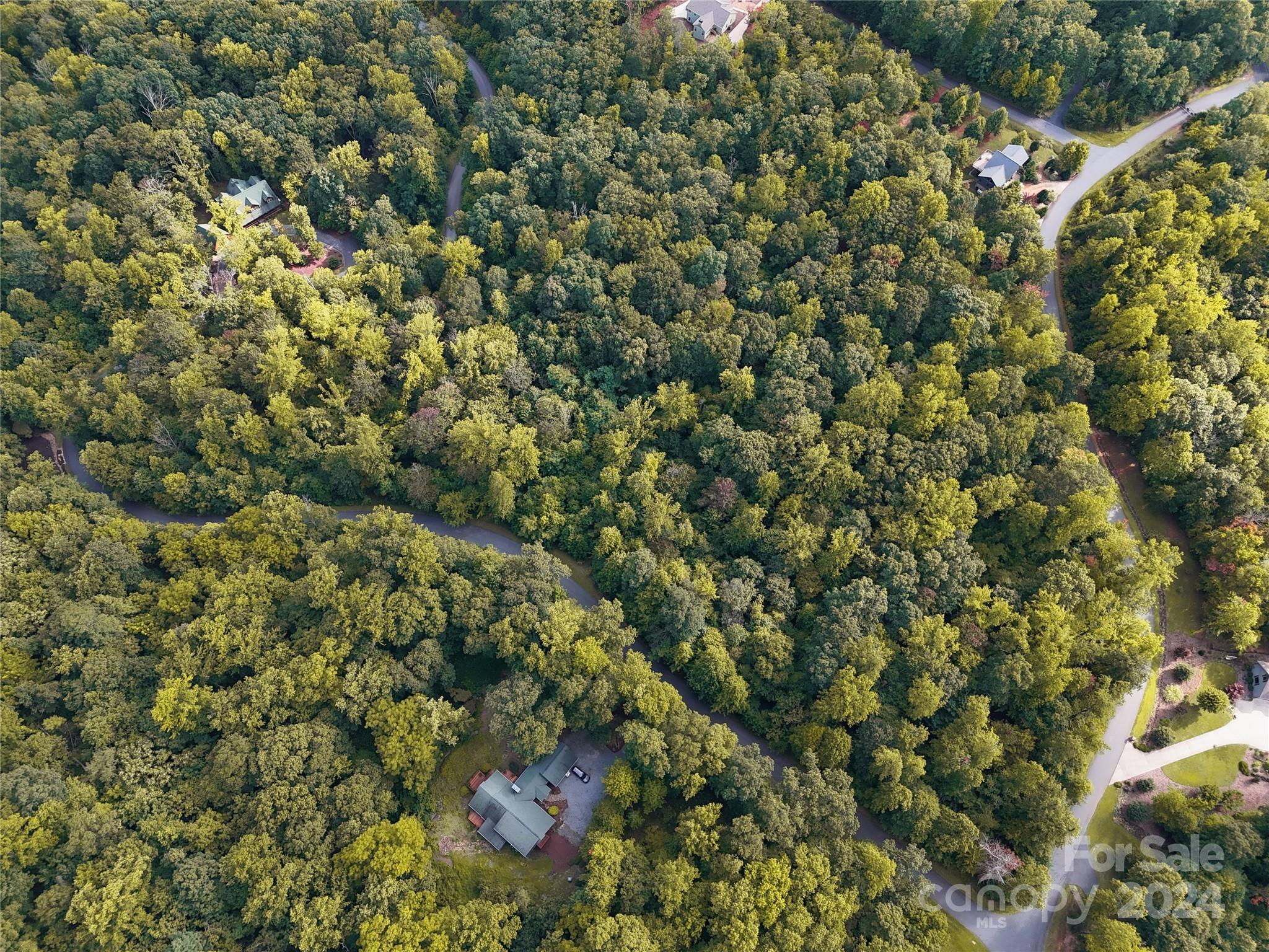 Tbd Matho Trace Lake Lure, NC 28746 - Photo 21 of 30 Gallery Image 21